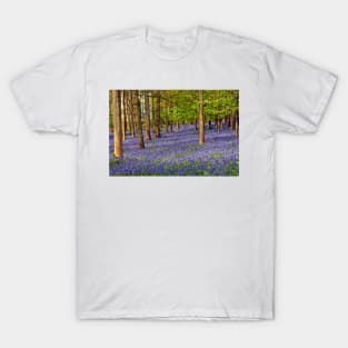 Bluebell Woods Greys Court Oxfordshire UK T-Shirt